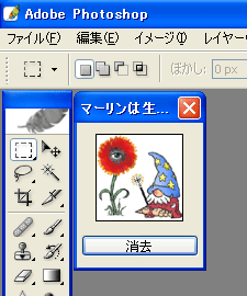 merlin-ps8-win.gif